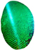 Fingerprint Recognition Door Locks