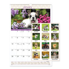 Buy Full-Color Puppies Photographic Monthly Wall Calendar