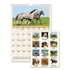 Buy City Sights Landscape Monthly Wall Calendar