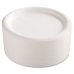Premium Coated Paper Plates