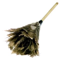 Buy Feather Duster