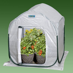 Planthouse 3