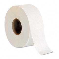 GEP12798 - Georgia Pacific Envision&reg; Two-Ply Jumbo Jr. Bathroom Tissue