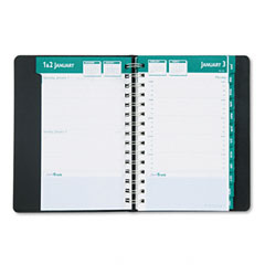 HOD29802 - House of Doolittle Express Track Daily/Monthly Appointment Book