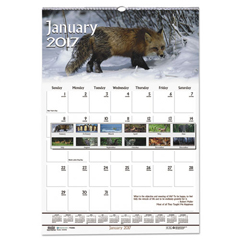 Buy Earthscapes Wildlife Scenes Monthly Wall Calendar
