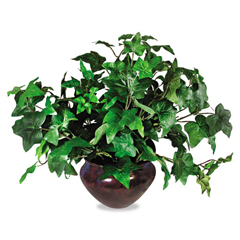 Buy Sparta Silk Mixed Greenery