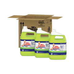 Buy Mr. Clean Finished Floor Cleaner