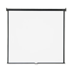 Wall or Ceiling Projection Screen