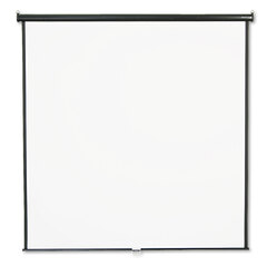 Wall or Ceiling Projection Screen