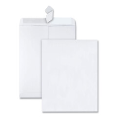 Redi-Strip� Catalog Envelopes