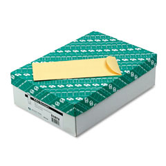 Quality Park&trade; Cameo Buff Policy Envelopes