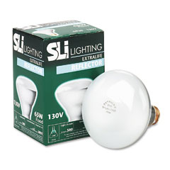 SLT03201 - SLI Lighting Incandescent Bulb
