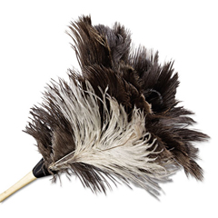 Buy Economy Ostrich Feather Dusters