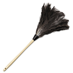 Buy Economy Ostrich Feather Dusters