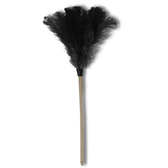 Buy Premium Ostrich Feather Dusters