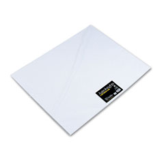 Wausau Paper&reg; Astrobrights&reg; Premium Poster Board