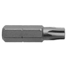 Torx� Insert Bits (Drive Size : 1/4 in, Drive Type : Hex, Hardness Grade : Hardest Heat Treat Available)