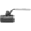 Ball Valves (Connection Type : Female/Female, Inlet Size : 1/4 in (NPT), Inlet Type : Female Thread)