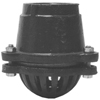 Painted Foot Valves (Inlet Type : Strainer, Outlet Size : 1 1/2 in, Outlet Type : Female Thread)