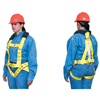Fall Arrest Harnesses (Size Group : Regular, Connection Type : (5) D-Rings, Color : Yellow)