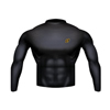 1stLayer� Cold Condition Shirts (Size Group : Large, Material : Poly/Lycra Blend, Style : Long Sleeve)