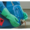 Stansolv� AF-15 Gloves (Quantity : 12 Pairs, Size Group : 10, Material : Nitrile)