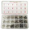 Stainless Steel Set Screw Assortments (Includes : (10) 10-24 x 1/4 in, (10) 3/8-16 x 1/2 in, (10) 3/8-16 x 3/8 in, (10) 3/8-24 x 3/8 in, (10) 6-32 x 3/16 in, (10) 8-32 x 3/16 in, Plastic Box, (20) 1/4-20 x 3/8 in, (20) 1/4-28 x 1/4 in, (20) 5/16-18 x 1/2 in, (20) 5/16-24 x 3/8 in, (25) 1/, Head Type : Hexagon Recess, Material : Stainless Steel)