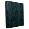 Aurora Products PROformance II Round Ring Binder (Global Product Type : Binders-Ring Binder, Capacity Range ( ) [Max] : 1 in, Sheet Capacity [Nom] : 175)