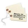 Manila Shipping Tags and White Tyvek� Shipping Tags (4-3/4 x 2-3/8, Manila)