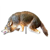3 Dimensional Coyote (Coverage: 1 Acre of open area, Size : 37 Head-to-Tail, Size : 16 Tall)