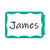 Self-Adhesive Border-Style Name Badges (Green Border)