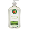 Lemongrass Hand Soap (Size : 17 oz. Pump, Quantity : 6 pumps per Case, Scent : Lemongrass Scent)