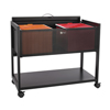 Safco� Locking Top Mobile Tub File (Color: Black, Material(s): Steel, Size: 33 1/4 w x 17 d x 27 h)