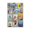 Reveal� Clear Literature Displays (Literature Rack Displays Type : Wall Mount, Global Product Type : Literature Racks Displays-Wall Mount, Number of Compartments : 18)