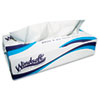 Windsoft� Facial Tissue (Ply : Two-Ply, Quantity : 6 Boxes per Pack, Quantity : 100 Sheets per Box)