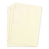 Looseleaf Minute Book, Binder and Sheets