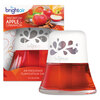 BRIGHT Air® Scented Oil™ Air Freshener