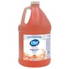 Dial Antibacterial Foaming Hand Wash, Plus Aloe, Original