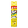 Diversey™ Endust Multi-Surface Dusting & Cleaning Spray