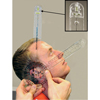 Fabrication Enterprises Baseline&reg; Plastic Absolute+Axis&reg; Goniometer - HiRes™ 360 Degree Head - 12