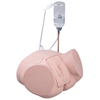 Fabrication Enterprises Catheterization Simulator PRO, Female FNT12-4843
