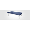 Armedica Mat Platform - Motorized Steel Hi-Lo, 2 section