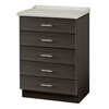 Fabrication Enterprises Clinton, Fashion Finish Treatment Cabinet, Molded Top, 5 Drawers FNT15-4605