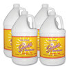 Sparkle Sparkle Glass Cleaner FUN20500CT