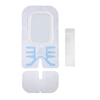 Large SorbaView SHIELD Integrated Securement Dressings, 1 Each