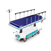 Mobilecare Stretcher (FHC7101)