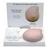Breast Model Galloway Plastics Female Full-Size Left Breast 2-1/4 lbs., 1/ EA