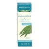 Piping Rock Health Products Pure Essential Oil Nature's Truth&reg; Eucalyptus Oil Oil 15 mL MON1150095EA