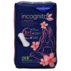 Panty Liner incognito by Prevail Light Absorbency, 156/CS
