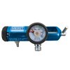 Oxygen Regulator 0-25LPM DISS, 1/EA